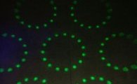 DSCF4802
