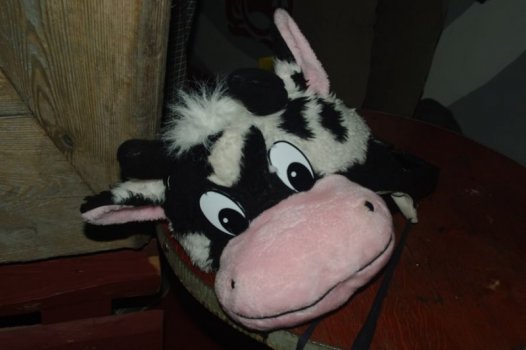 IMGP3559