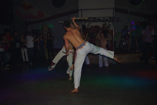 IMGP7874