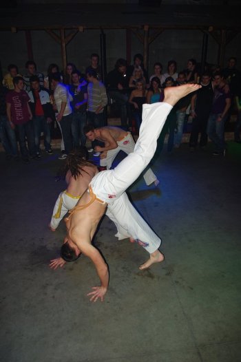 IMGP7947