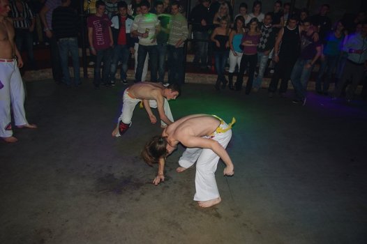 IMGP7950