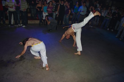 IMGP7952