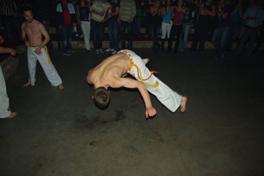 IMGP7962